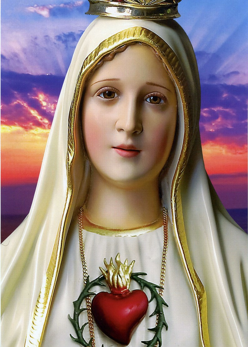 Visita Della Sacra Immagine Della Madonna Di Fatima